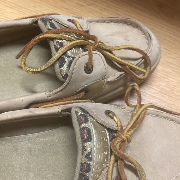 Leopard Sperry Angelfish - Picture 3 of 4